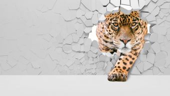 Фреска Леопард 3Д