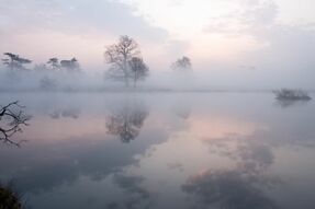 Фреска Туман над озером