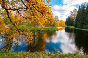 Фотообои Осенний пруд