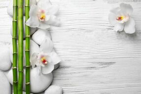 Фреска Орхидея в стиле фэн-шуй