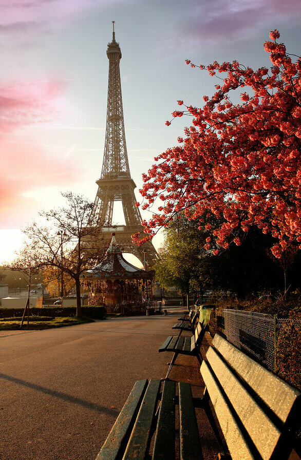 Картина на холсте Эйфелева башня в цвету, арт hd0014901
