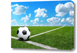 Картина Футбольный мяч на поле