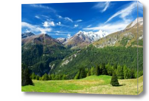 Картина Альпийские луга